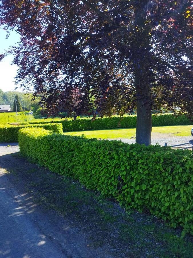 Le Clos Des 3 - Vacances Avec Vue En Ardennes A 5 Kilometres De La Roche - Maison De 90 M2 Avec Chambres - Avec Magnifique Jardin Rendeux Exteriör bild